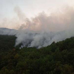 Požar u Podgradini (FOTO)